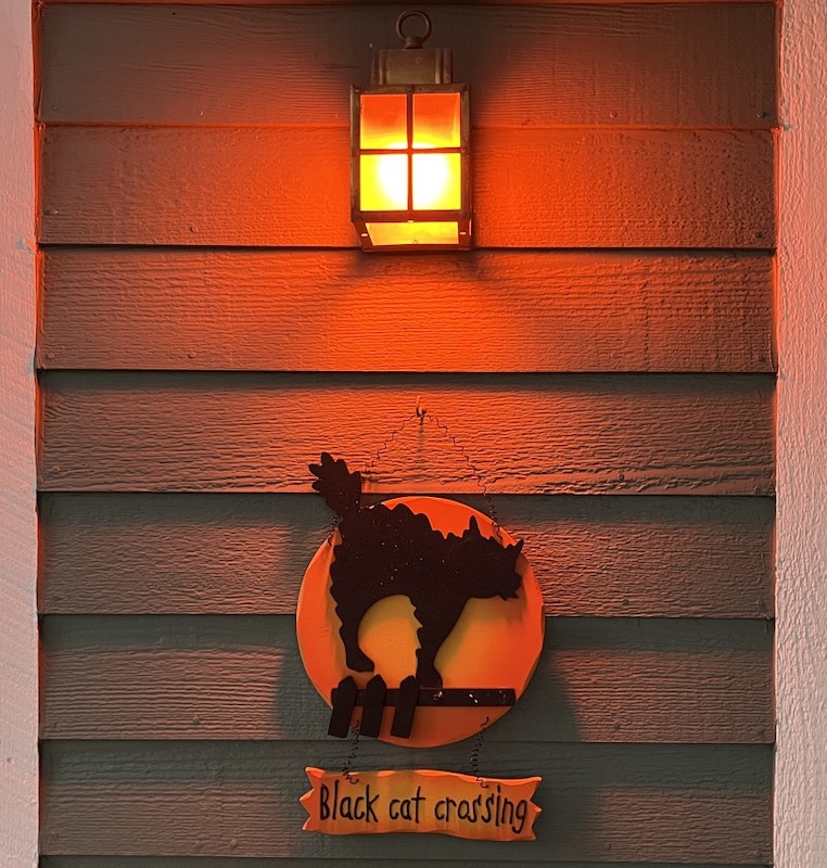 Haloween 玄関のランプをオレンジ色 LED に交換