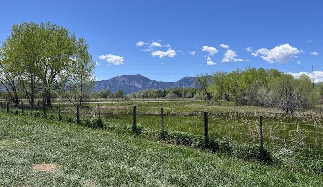 Dry Creek Trail, AP 試験, AP Japanese Exam