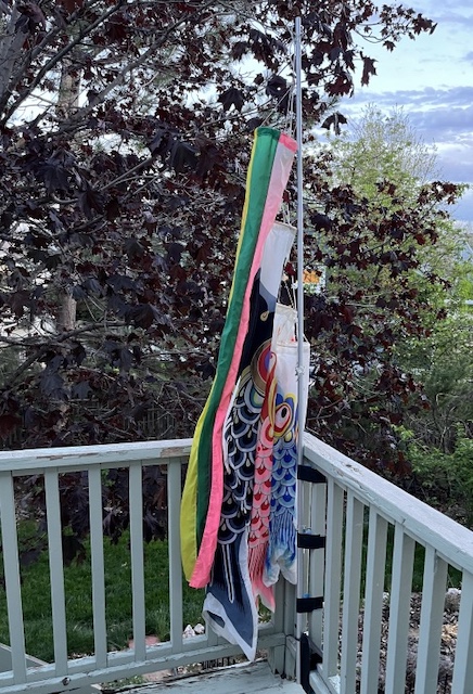 鯉のぼり Carp Flag アメリカ