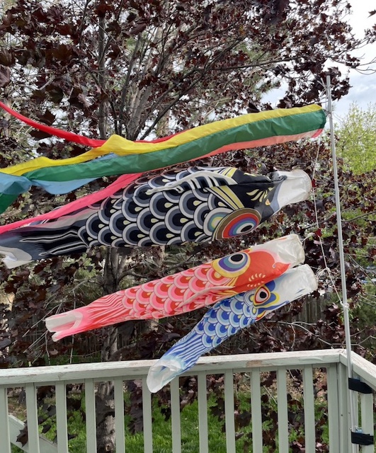 鯉のぼり Carp Flag アメリカ