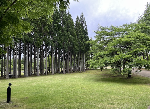 AIU 教養大学 Akita International University 見学 日本への一時帰国